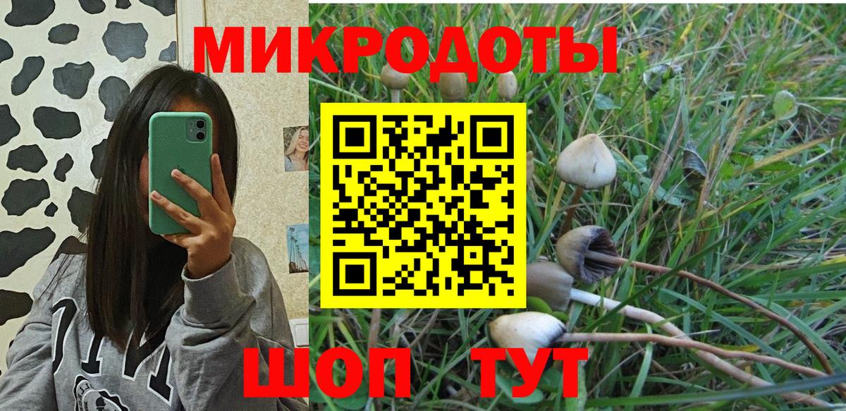 Галлюциногенные грибы мухоморы Ревда