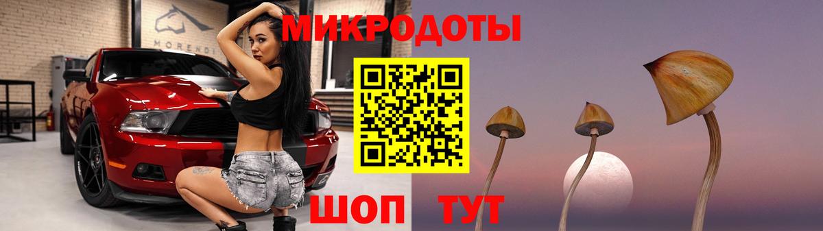 Ревда  Галлюциногенные грибы прущие грибы  Вход с VPN 